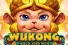 Winner